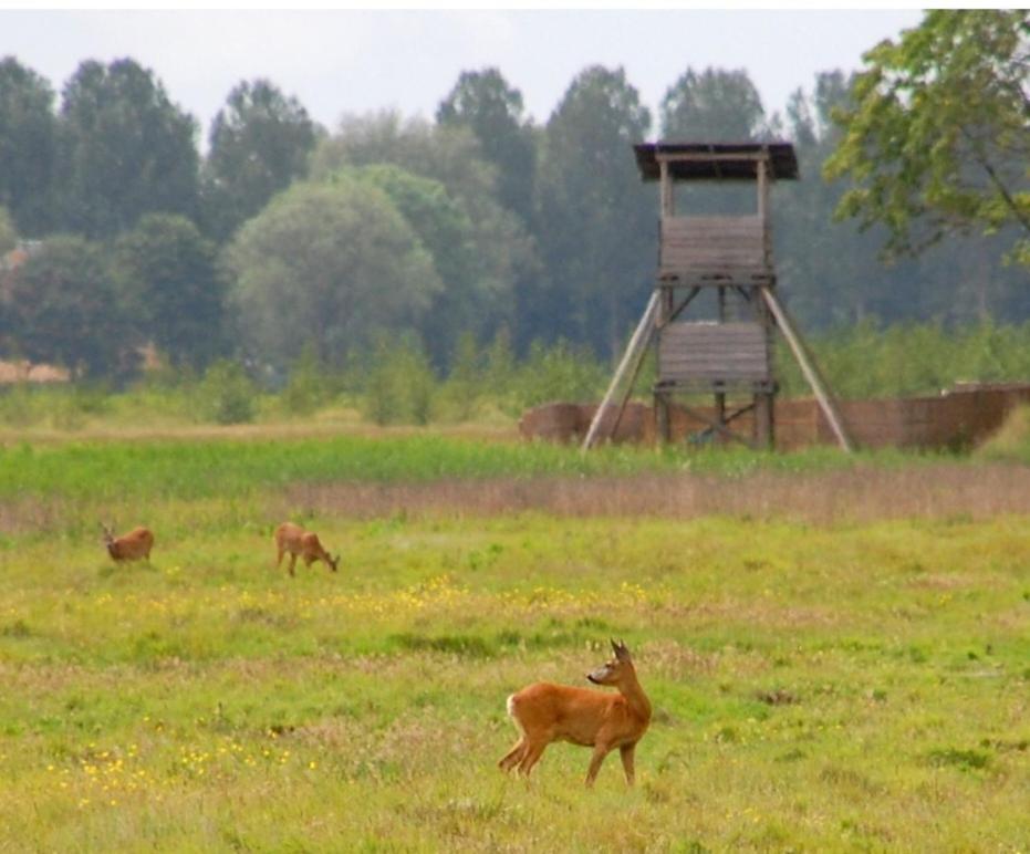 Am Treis Wieringerwerf Exterior foto